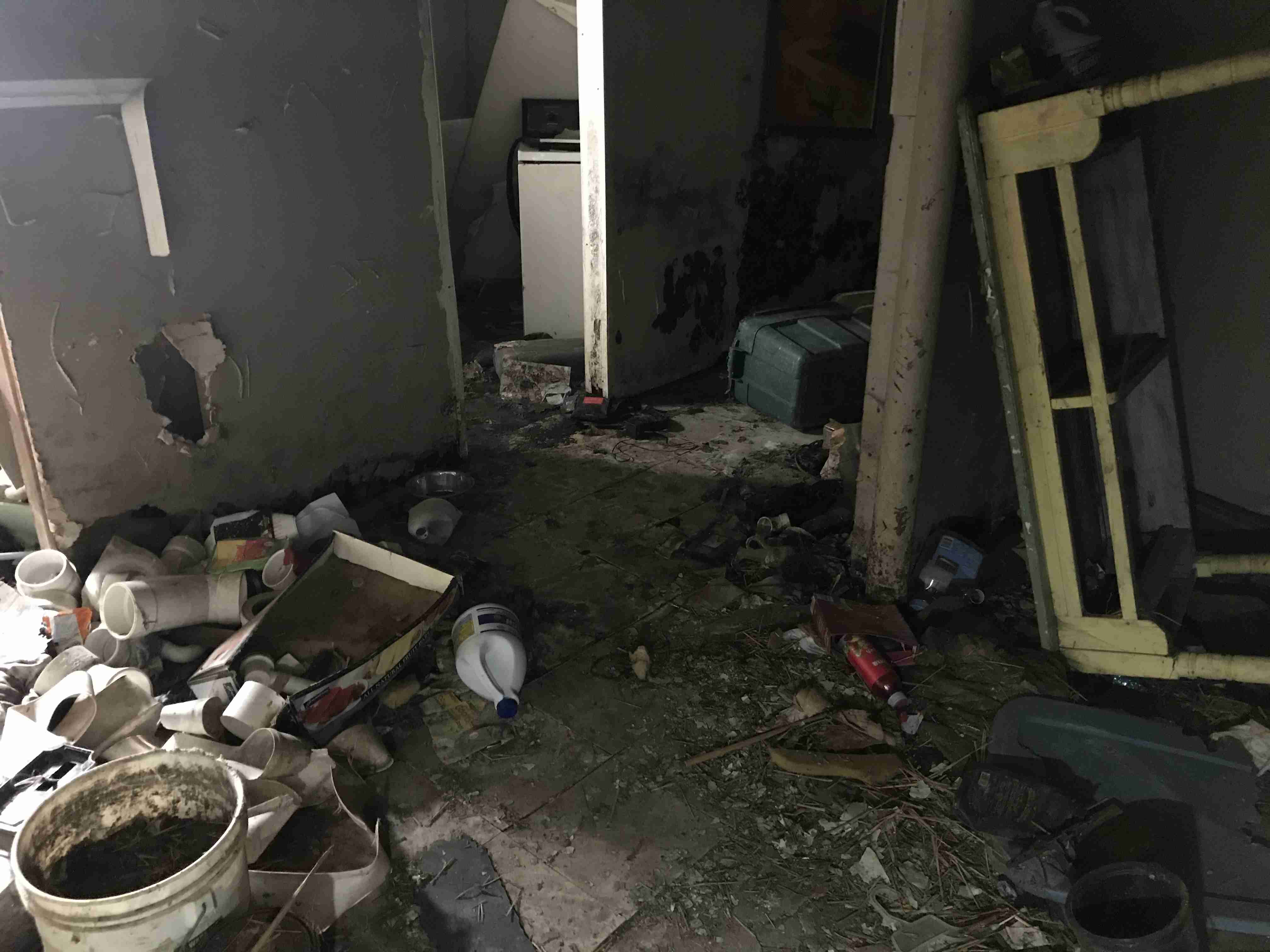 Photo Oct 13, 12 37 07 PM.jpg